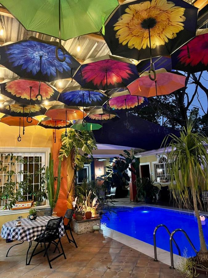 Refugio De La Montana B&B 산페드로술라 외부 사진